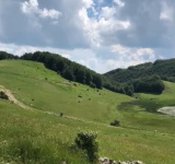 Купить недвижимость,  . Черногория, Жабляк, Жабляк