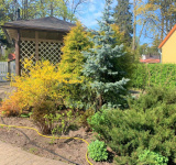 Купить недвижимость,  . Латвия, Юрмала и район, Майори