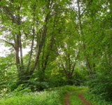 Buy property,  . Latvia