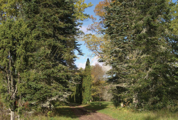 Buy property,  . Latvia