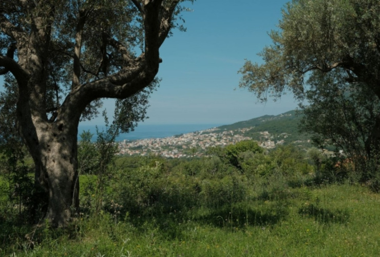 Buy property,  . Montenegro, Bar riviera, Bar