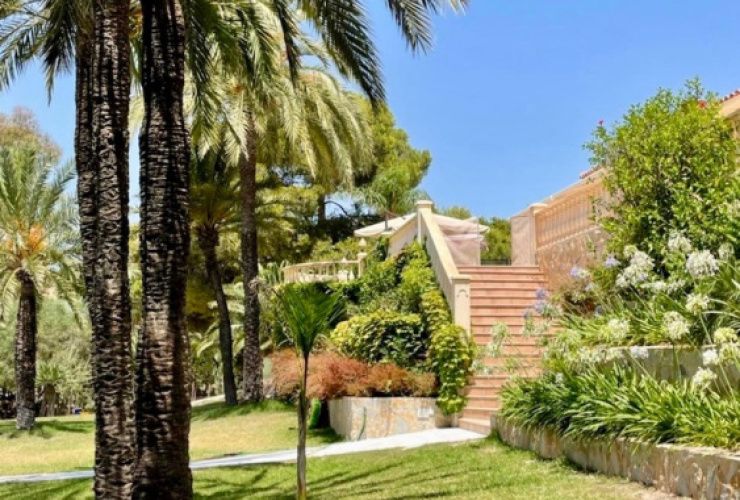Buy property,  . Spain, Alicante