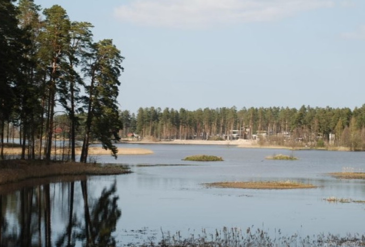 Продаем большой участок земли на берегу водоема!