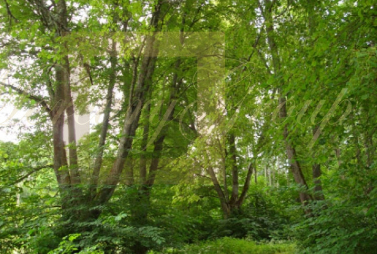 Buy property,  . Latvia